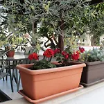 Guest house Salt Town House 3*