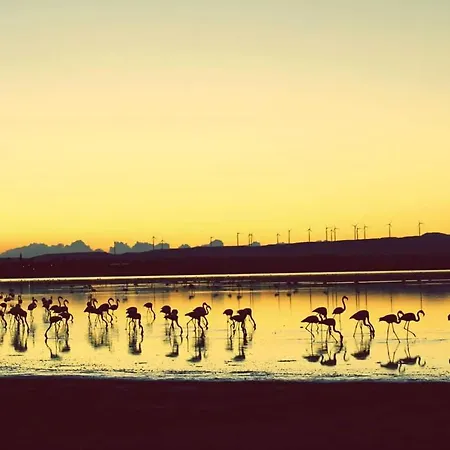 Pensionat Salt Town House *