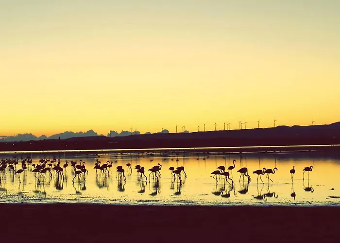 Pensionat Salt Town House *